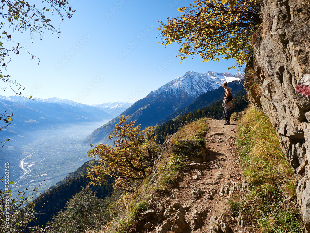 Fototapeta premium Meraner Höhenweg
