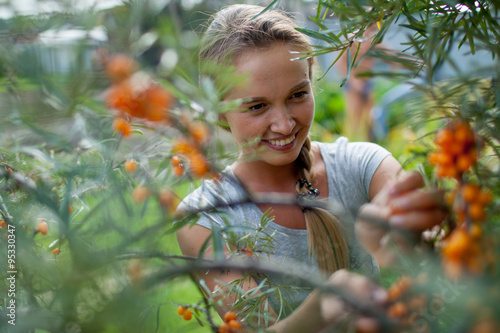 woman picking berries