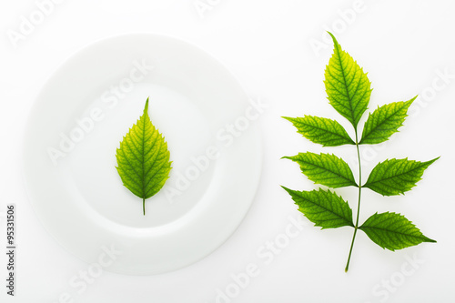 Green fresh leaves and ceramic plate isolated on white