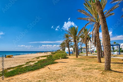 Date Palms on sunny beach, Hammamet, Tunisia, Mediterranean Sea, photo