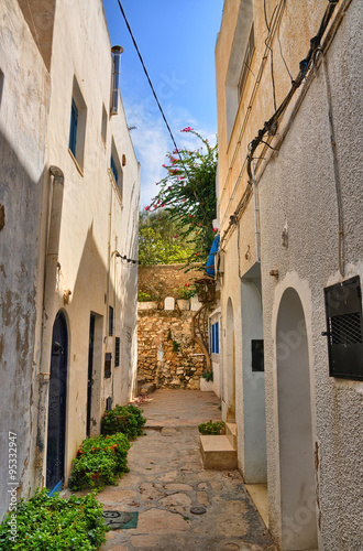 Narrow street of ancient Medina, Hammamet, Tunisia, Mediterranea