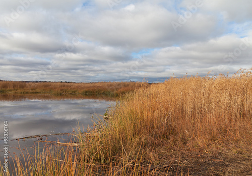 Lake in an autums.