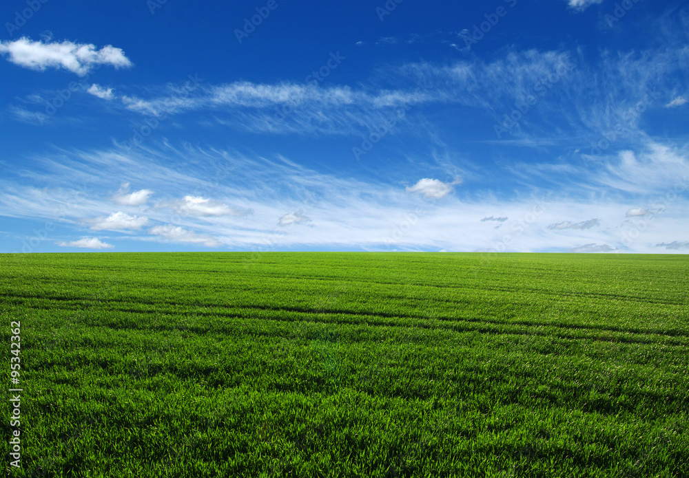 green field green field