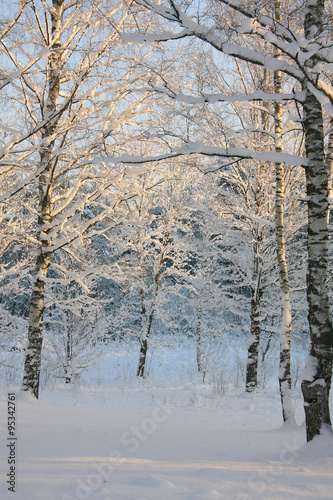 beautiful winter landscape with snowy forest 