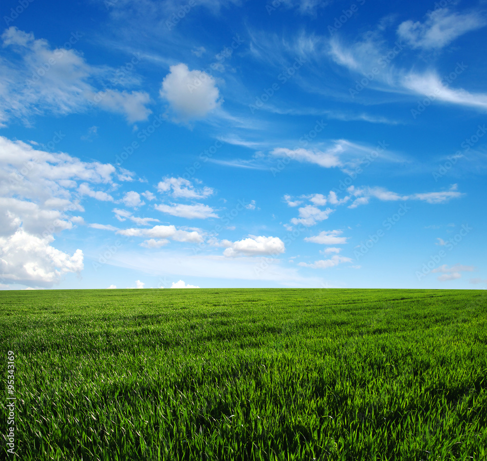 green field green field