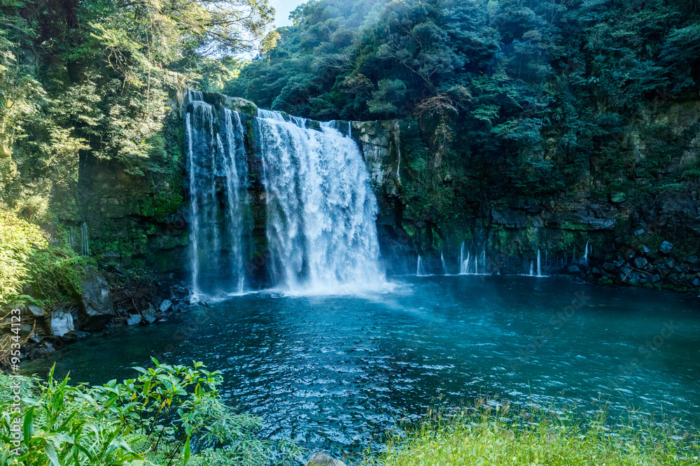 Naklejka premium Sacred waterfall in Japan surrounded by lush evergreen forest
