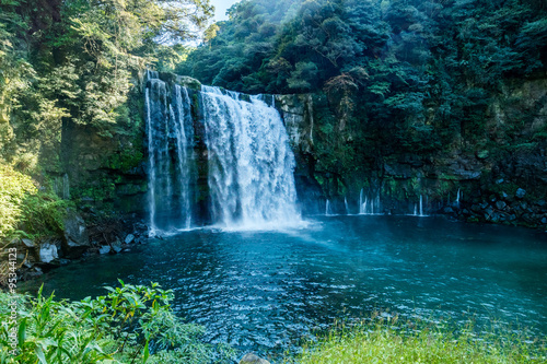 Sacred waterfall in Japan surrounded by lush evergreen forest