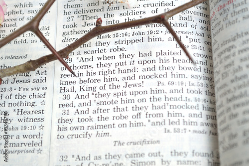 Good Friday scripture with thorns