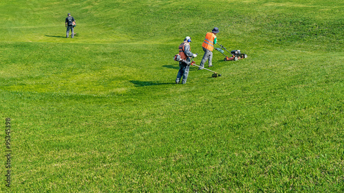 Lawn care. Cutting grass.
