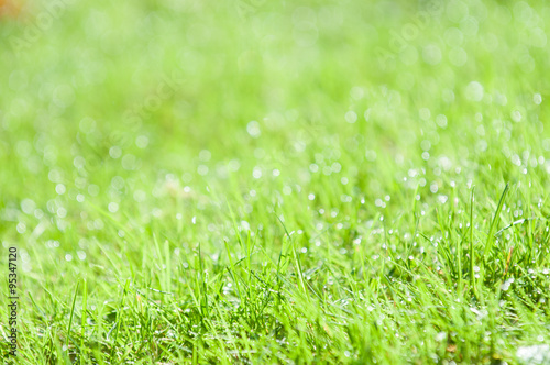 Wet grass with blur