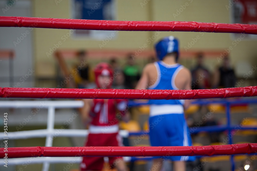 Two boxers on the ring