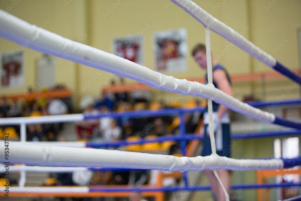 boxer in the blue corner