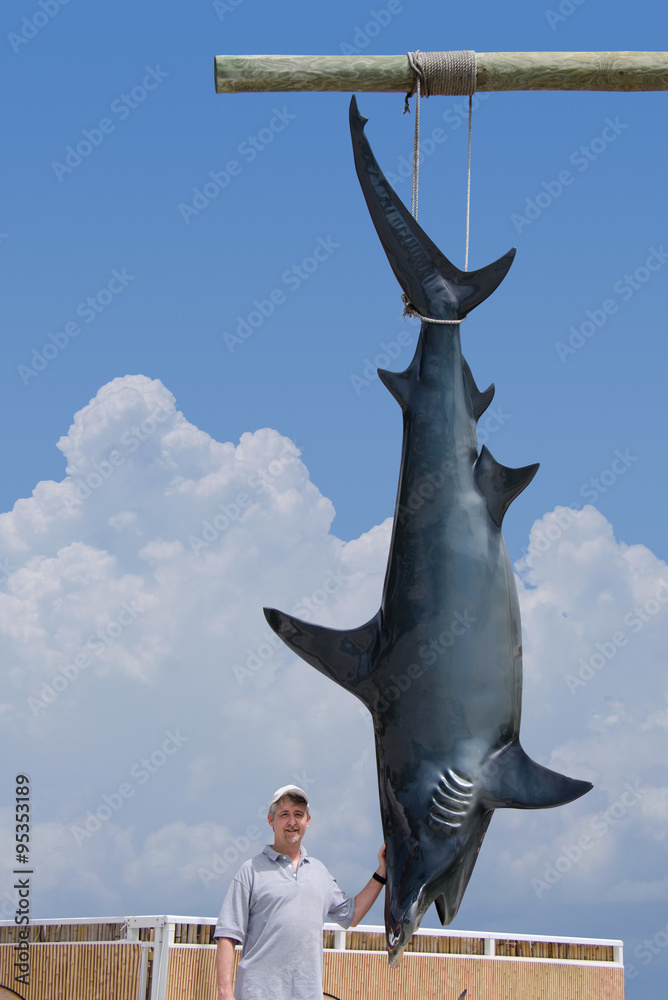 Naklejka premium Fisherman posing with his catch of a giant mako shark that is hanging from a pole.