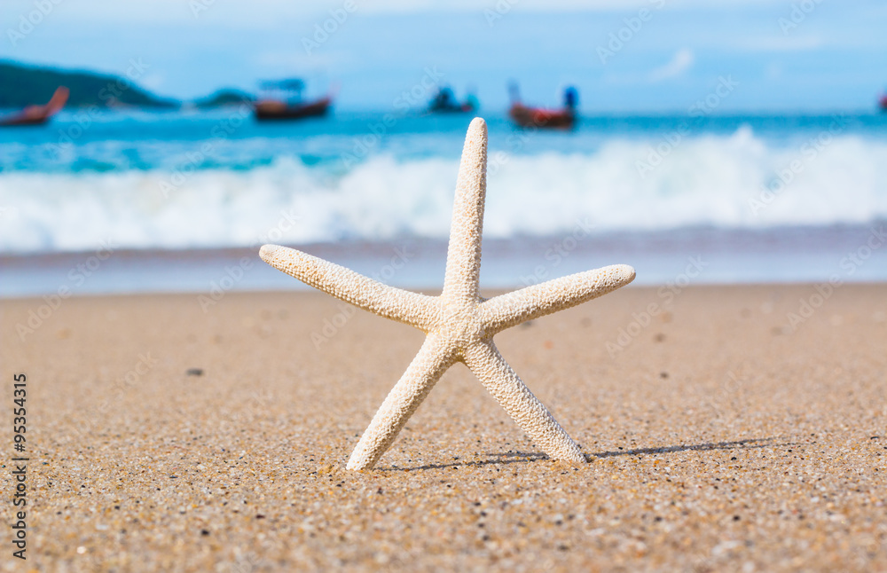 Starfish on the Beach for background Starfish on the Beach for background