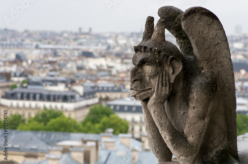Gargoyle of Notre Dame Cathedral,paris,france（ノートルダム大聖堂のガーゴイル） © yoko_ken_chan
