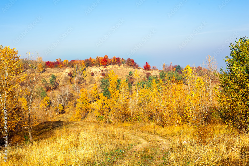Colorful autumn landscape on the hills