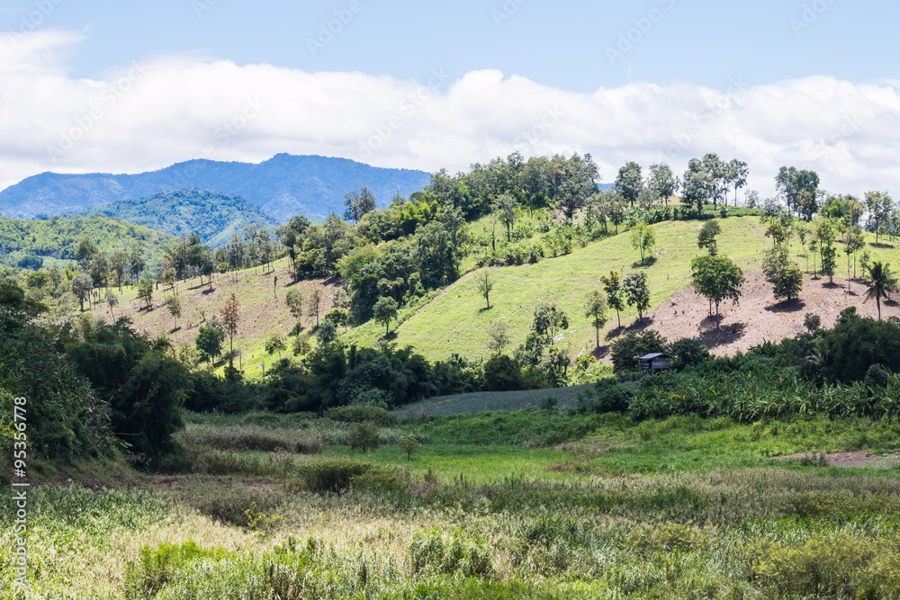 landscape at countryside