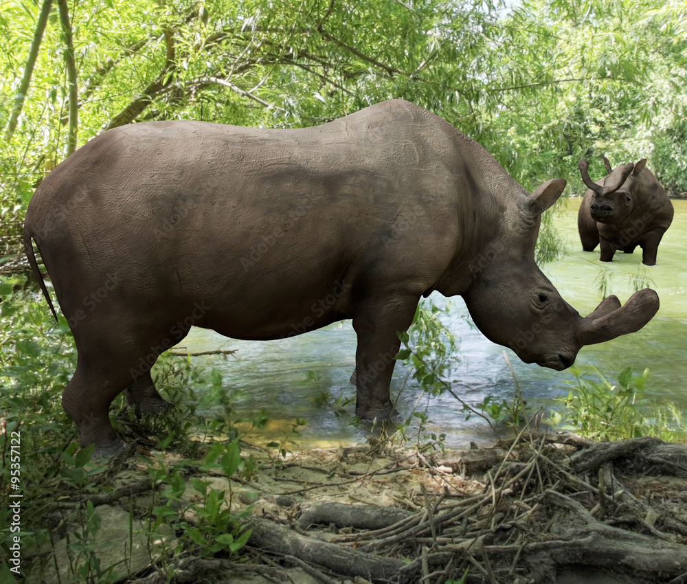 Fototapeta premium Brontotherium Drinking In River