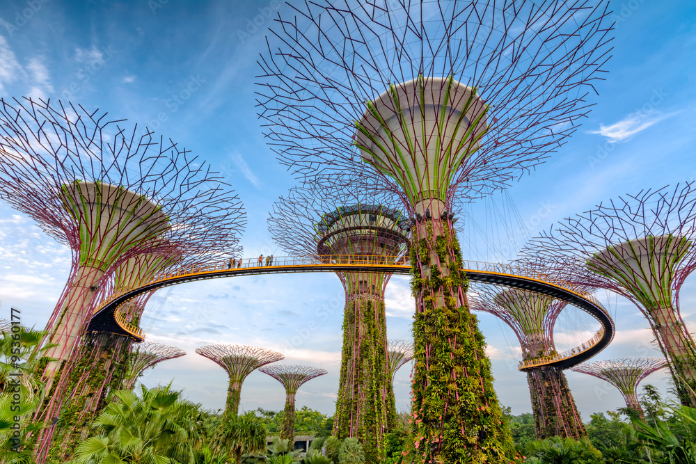 Naklejka premium Gardens by the Bay - Singapur