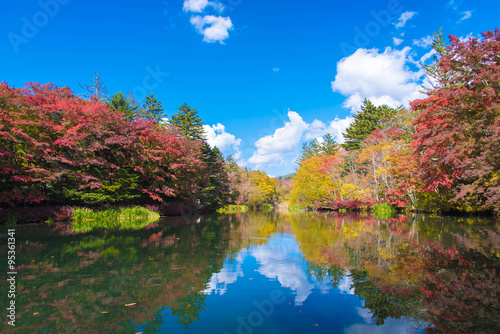 軽井沢　雲場池の紅葉