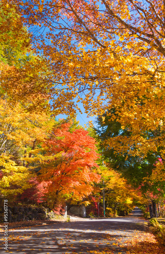 軽井沢の紅葉