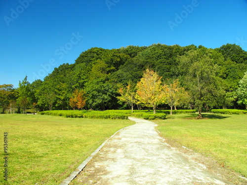 Fototapeta Naklejka Na Ścianę i Meble -  秋の公園風景