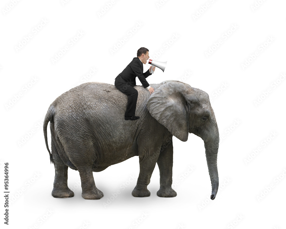Fototapeta Businessman with using speaker riding on walking elephant