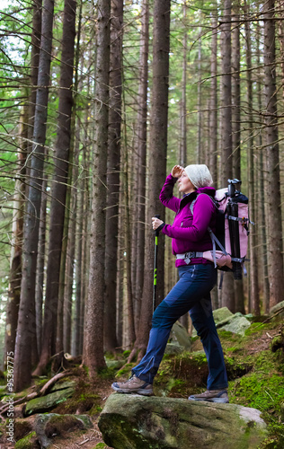 Female Hiker Staying inside Deep Old Forest on Moss Stone with Backpack and Trekking Pole Looking into Distance © alexbrylovhk