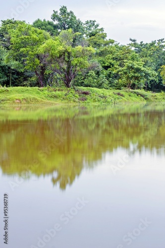 nature lake - Forest lake, Riverside, lakeside