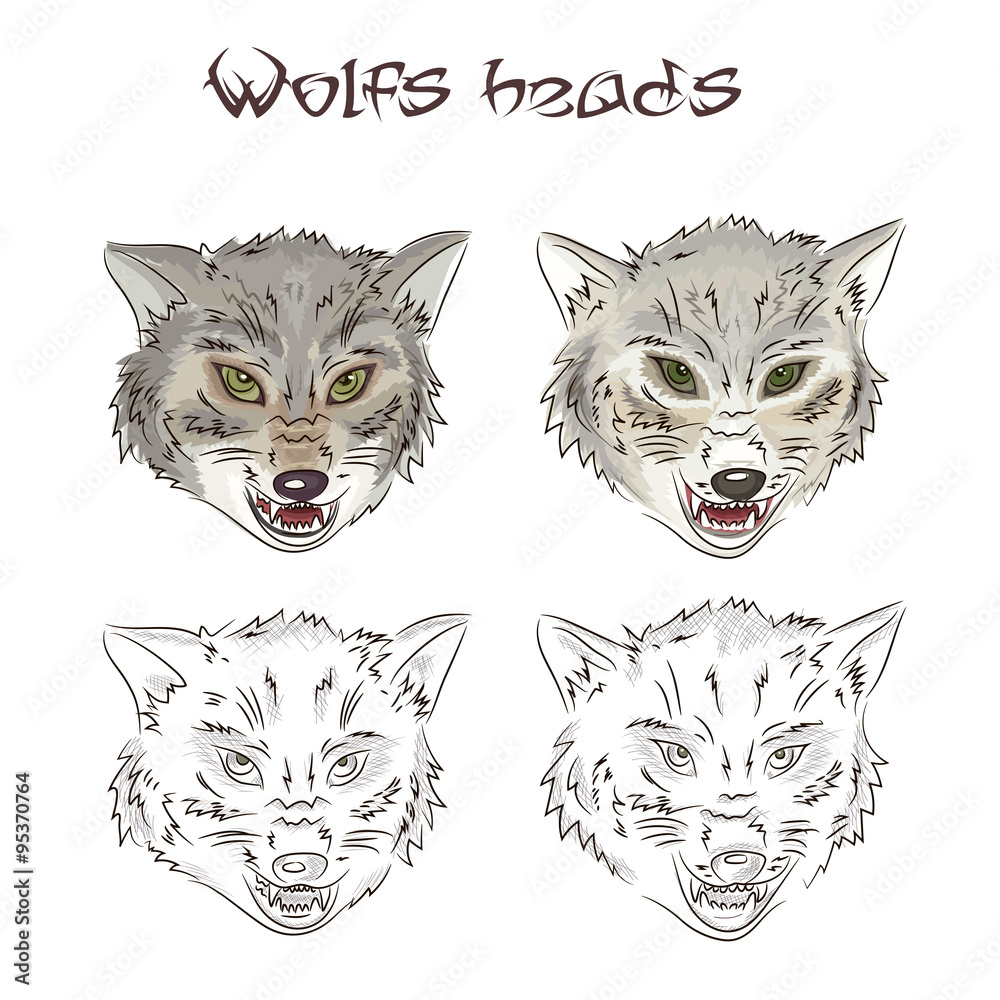Fototapeta premium Vector illustration of hand drawn wolves heads. Two of them are painted, two other are scribbled. This illustration is isolated on a white background.
