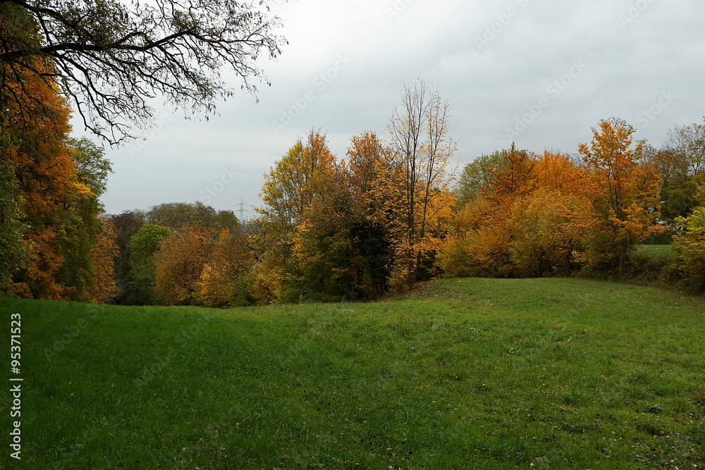 Herbstlandschaft und bunte Bäume Herbstlandschaft und bunte Bäume