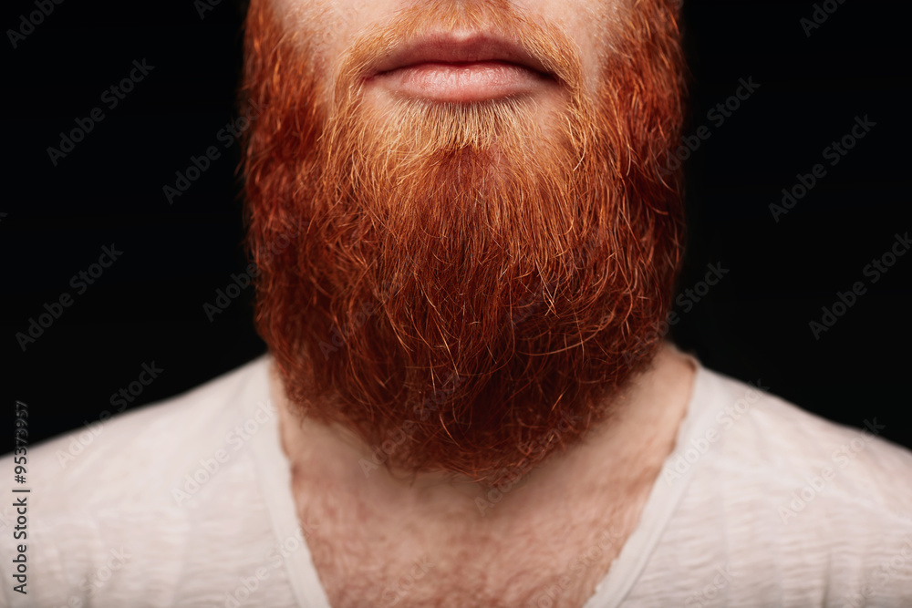 Obraz premium Closeup of long red beard and mustache man.