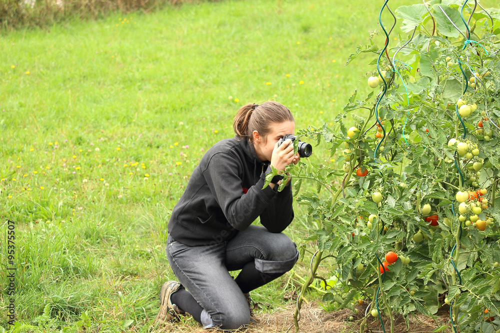 Girl taking close-up photo of tomatoe plant