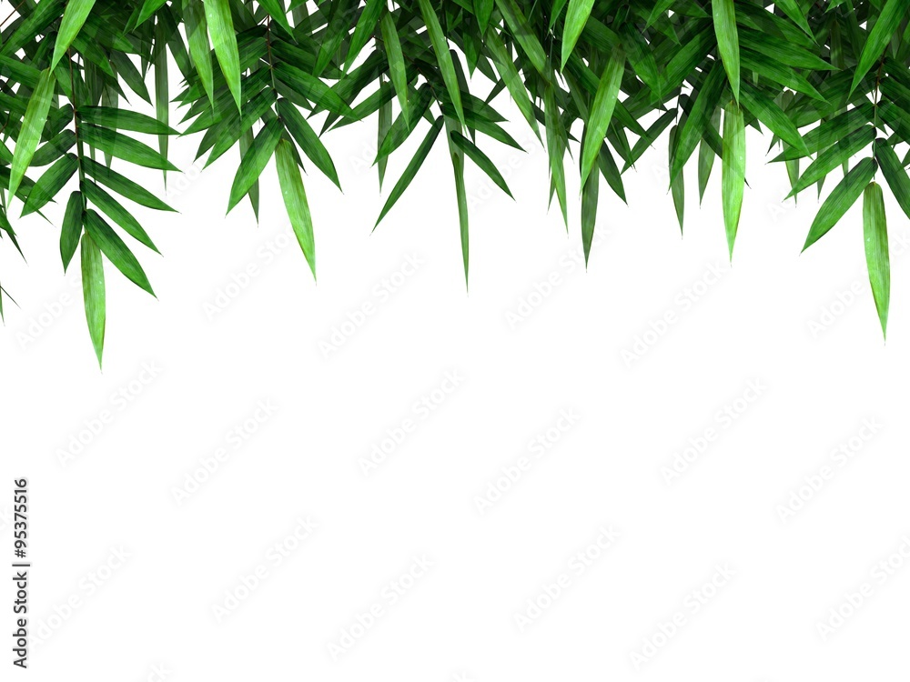 bamboo branch bamboo branch