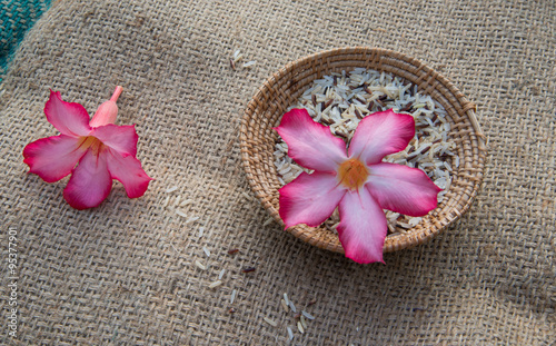 rice basket photo