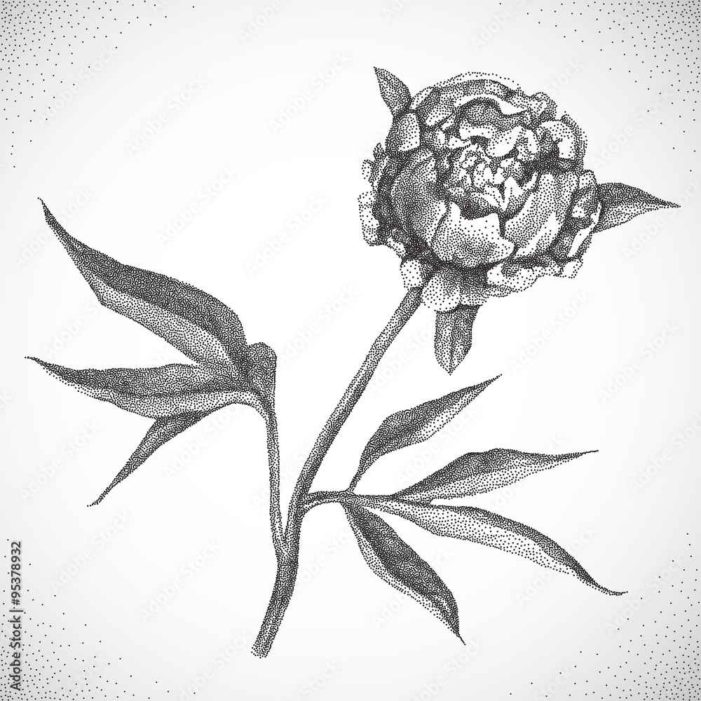 Flower. Black and white Dotwork