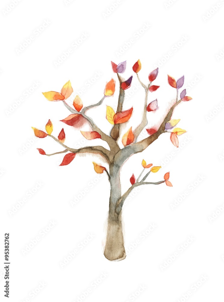 Obraz premium 樹木、紅葉