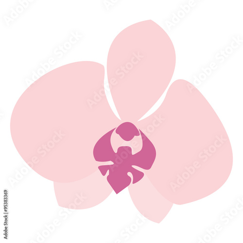 Fototapeta Naklejka Na Ścianę i Meble -  orchid