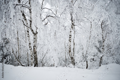 Wallpaper Mural winter landscape Torontodigital.ca