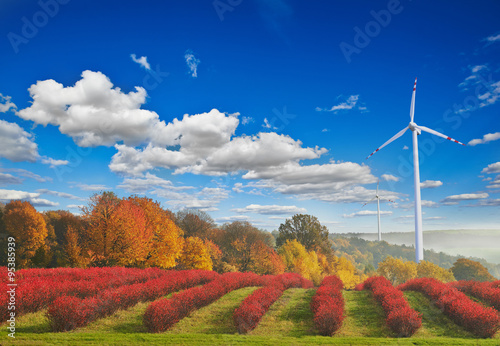Turbiny wiatrowe na tle jesiennego krajobrazu photo