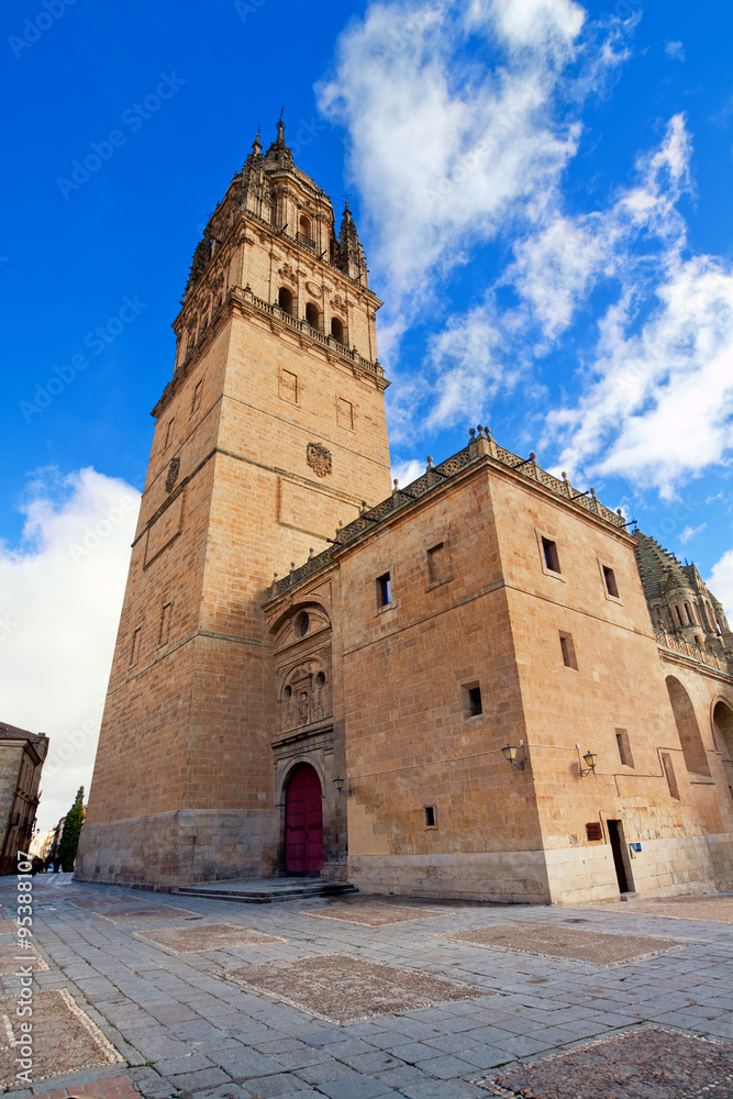 tower of Cathedral in Salamanca. Castile and Leon, Spain