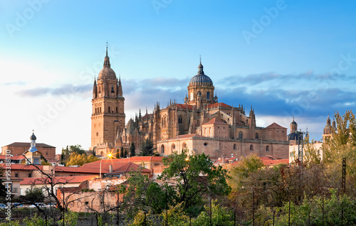 Salamanca Cathedral. Castile and Leon, Spain