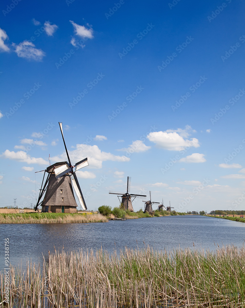 Naklejka premium Windmills