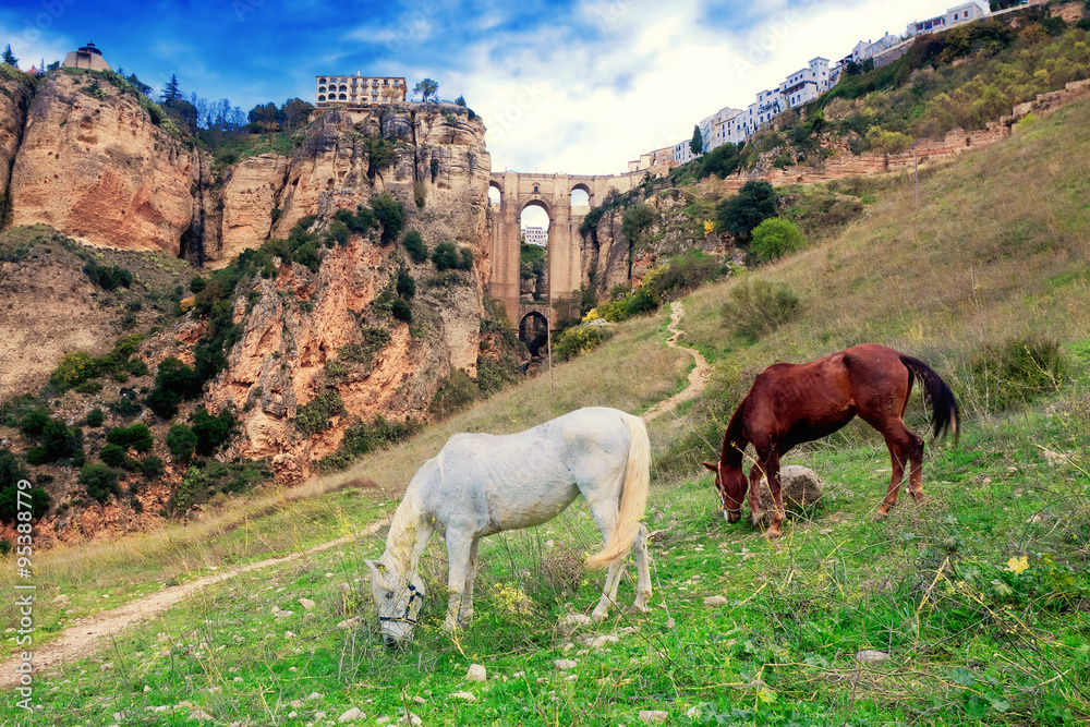Puente Nuevo bridge and horses. Ronda. Spain