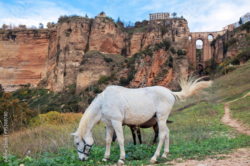 Puente Nuevo bridge and horses. Ronda. Spain photo