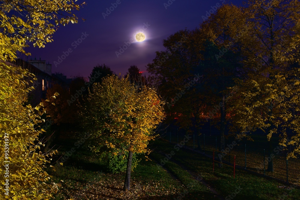 Autumn, evening and the moon