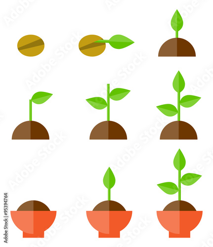 Vector sprouts isolated on white 
