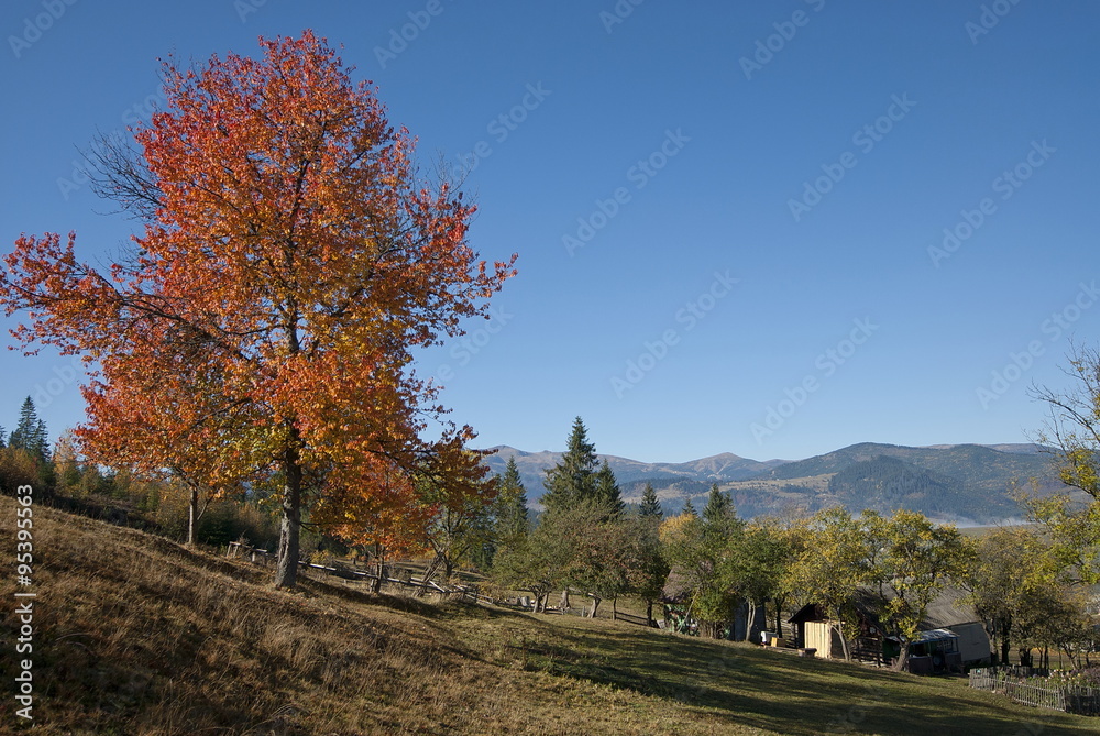 Autumn landscape in Carpathian Mountains, Ukraine.