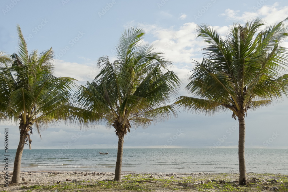 Coconut trees on a sea shore in Mui Ne, Vietnam.