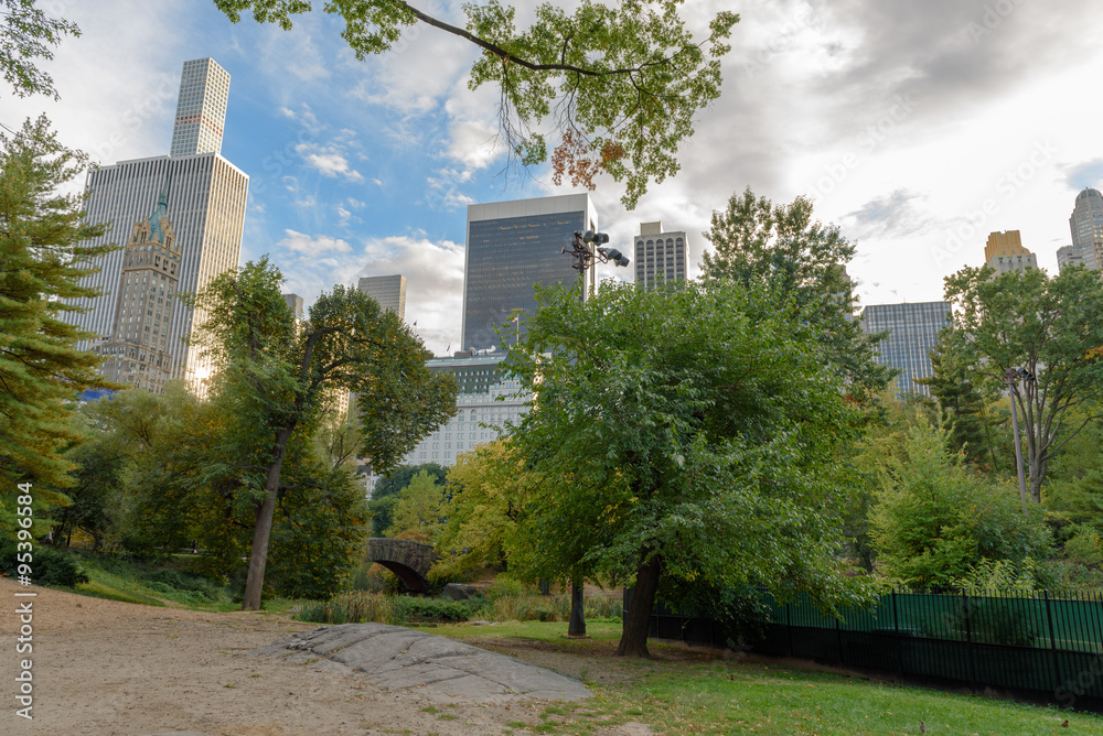 Fototapeta premium New York